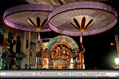 Sri Parthasarathy Temple Festivals
