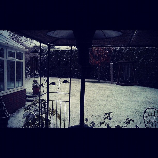 First snow of December &hearts;
