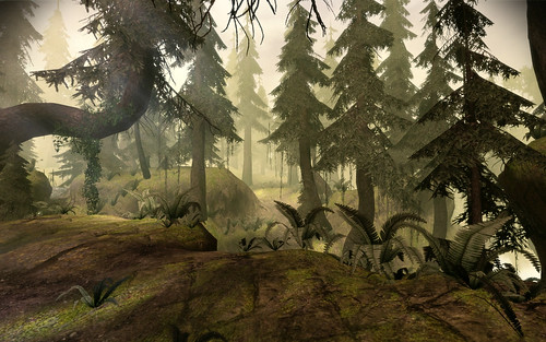 Brecilian Forest (West) 002