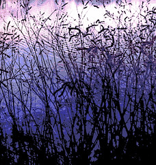 Silhouette Grasses and Pond (Digital Woodcut) by randubnick