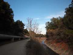 Los Gatos Creek Trail on the way back