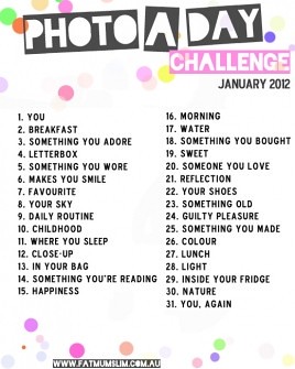 Photo A Day Challenge January 2012