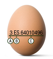 clasificacion de los huevos 2