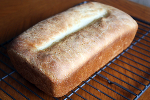 basic white bread.
