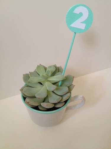 Custom Color Teacup Succulent and Table Number 10