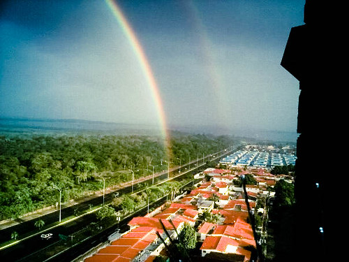 261/365 "Loefling's rainbow" by LitoCG2