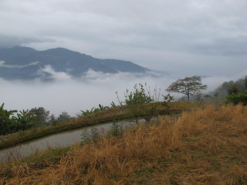 Khükiye Lukhai, Nagaland