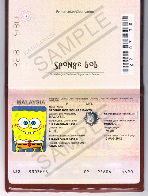 Sample Submitted Passport