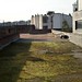moss garden - the future greenhouse rooftop garden - opposite direction