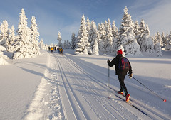 Cross Country Ski - Langlaufen