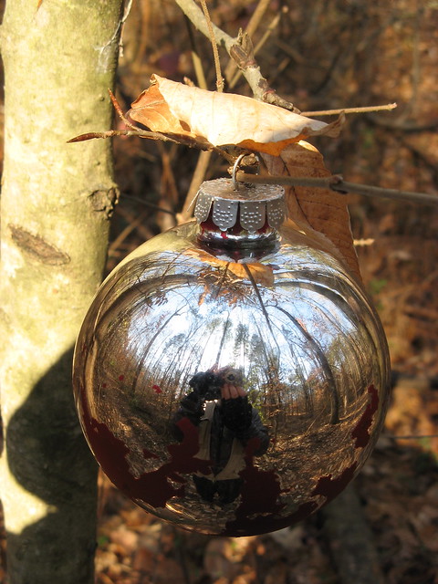 Christmas bulb in the woods