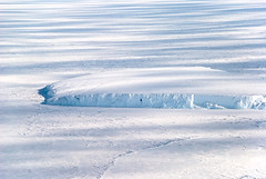 羅斯海中被海冰凍住的冰山，2011年12月11日。(Brook Peterson 攝影)