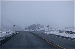 Road to Whakapapa Skifield