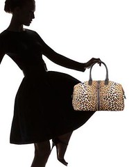 Dolce & Gabbana Leopard Bag