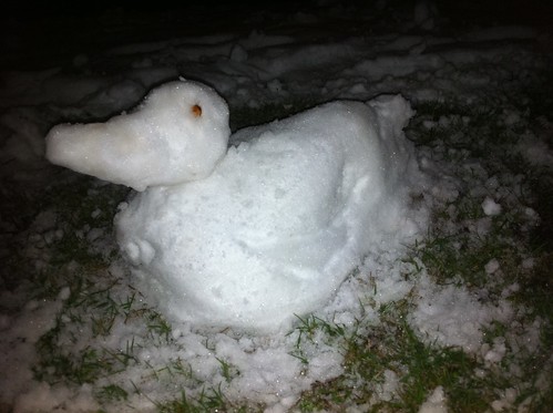 snow duck