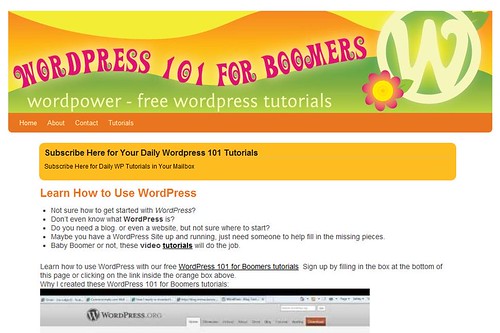 Wordpress 101 for Boomers by totemtoeren