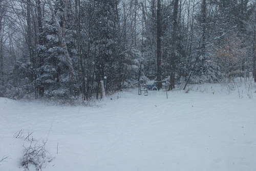 Snow on a Sunday--we got about 6" by woodsrun