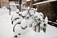 Bologna under snow
