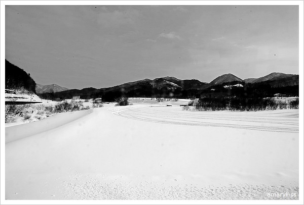 2012日本東北Day4-245山形印象