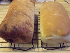 Fresh bread by Teckelcar