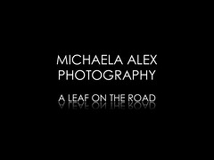 A LEAF ON THE ROAD - project