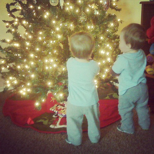 Checking out the Christmas tree...