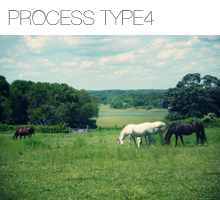 processtype4