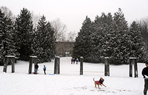 Out and about in the snow, arches, Gasworks park, people, Rosie the dog frolicking, trees, Fremont, Seattle, Washington, USA by Wonderlane