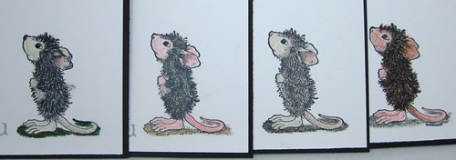 The grey/black-furred mice :)