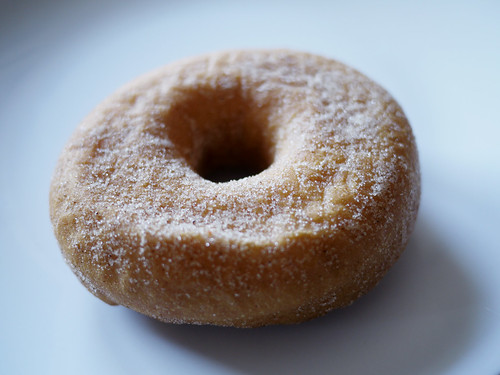 02-03 plain sugar & spice donut