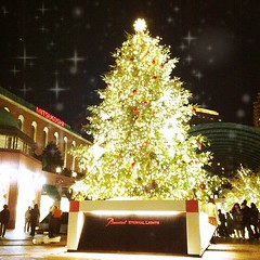 Holy night #iphoneography #iphonesia #illumination #xmas #christmas #tokyo #japan