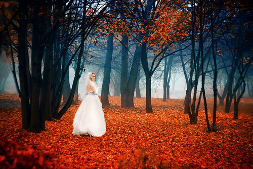 Autumn: Wedding Time