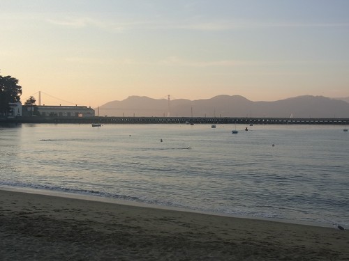 Golden Gate Bridge + A swimming man