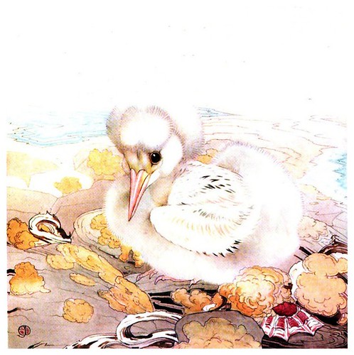 043- El ave del tropico-The book of baby birds 1912- Ilustrado por Edward Detmold- Hatchi Trust Digital library