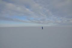 10,000 Miles (from Antarctica!) by John 'Lakewood' Fegyveresi