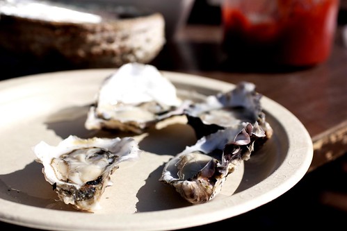 luna oysters from carlsbad aqua farms @ santa monica farmers market