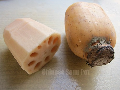 photo of lotus roots
