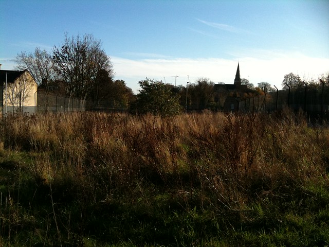 Looking across Deptford Meadow to St John's Church