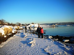 Winter at Beach Huk in Oslo #2