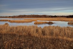 Beaver Lodge DSC_3945 by Mully410 * Images