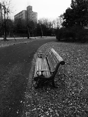 Lonely park bench.