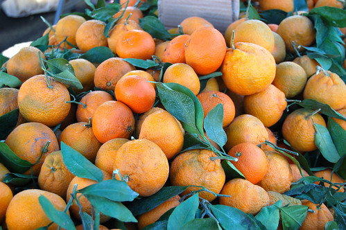 January 8: Farmers Market Oranges