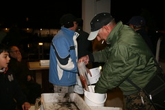 Trobada de calamares 2012