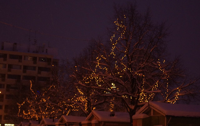 Lights on trees