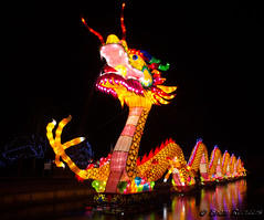 CHINA LIGHT FESTIVAL