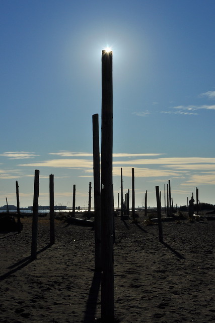 Wreck Beach, 22 Dec 2011