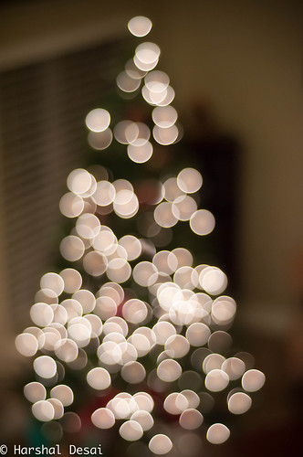 Christmas Tree Lights by hdvegas