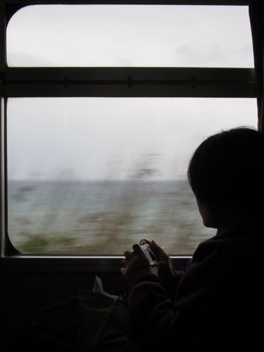 Looking Out of Train Window