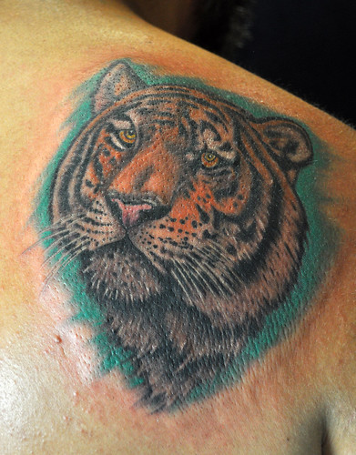 Tiger by Chris Adams 
