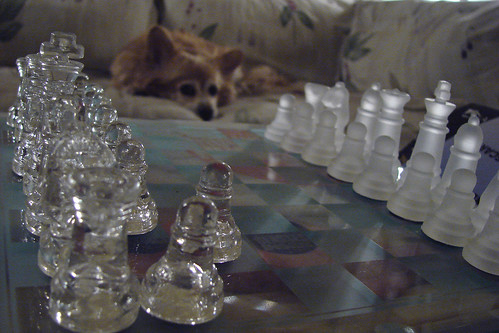 Your Move, Rusty by Jodi K.